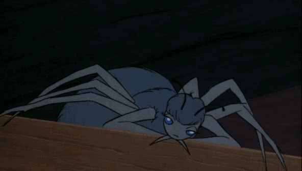 Charlottes Web